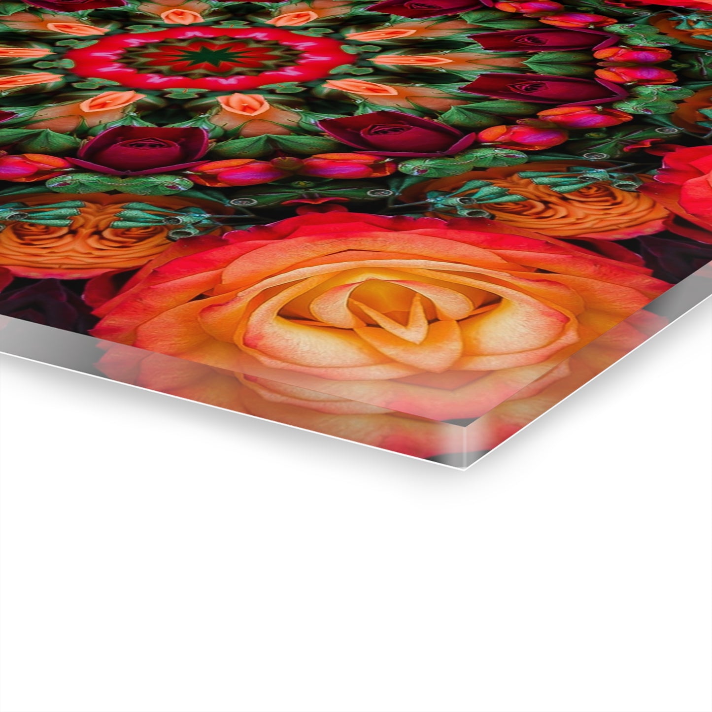 Quotidian Mandala - Knockout Orange