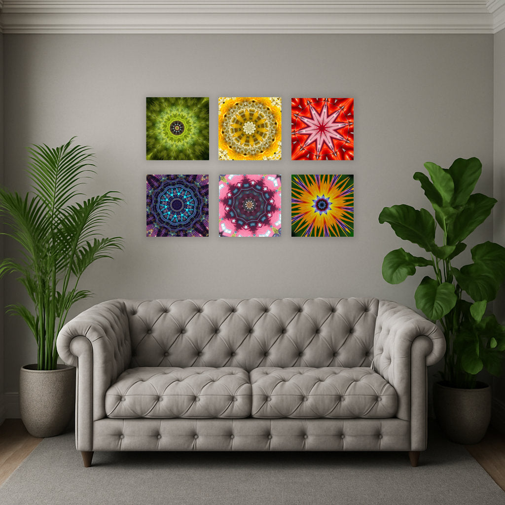 Quotidian Mandala Art Collection