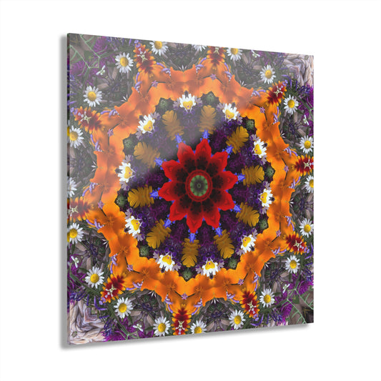 Quotidian Mandala - Redeste