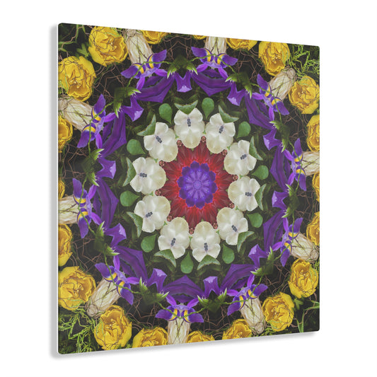 Quotidian Mandala - Pugnacious
