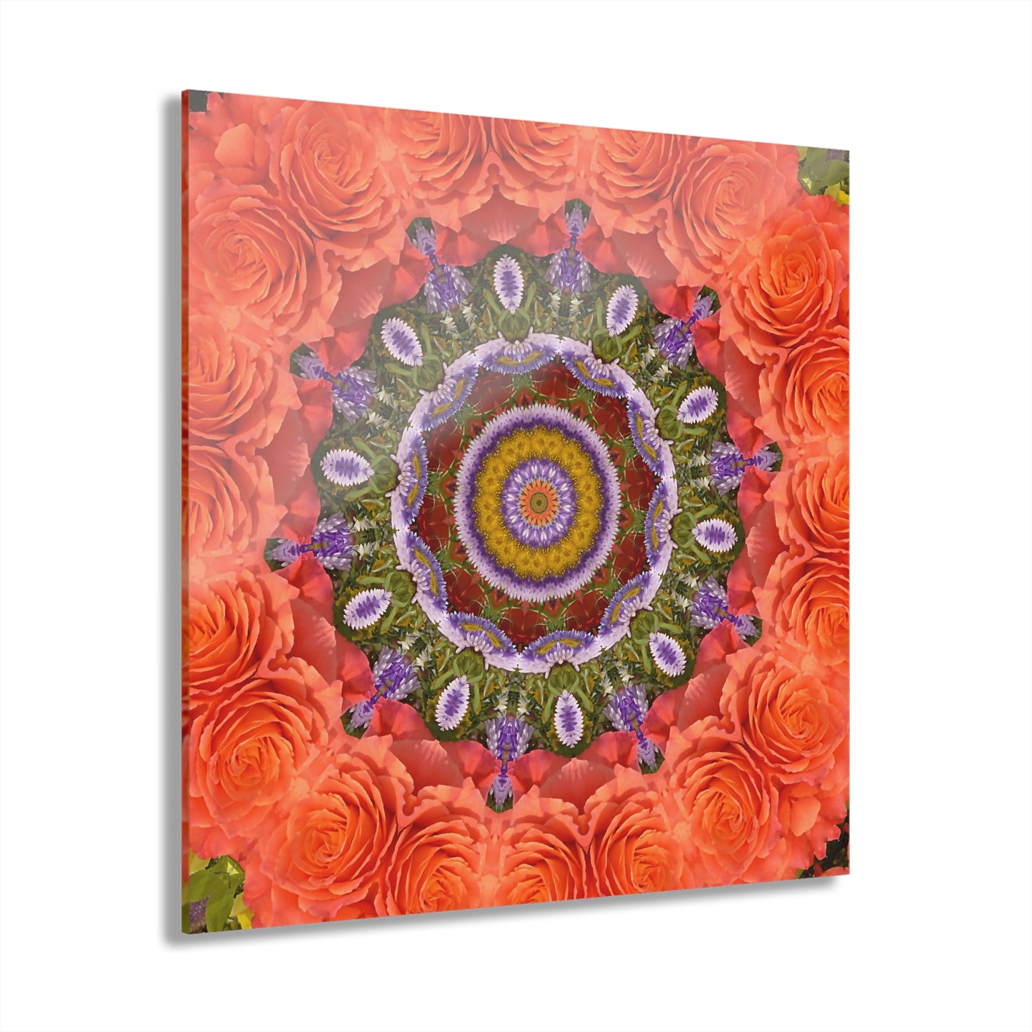 Quotidian Mandala - Festiva