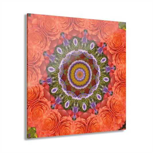 Quotidian Mandala - Festiva