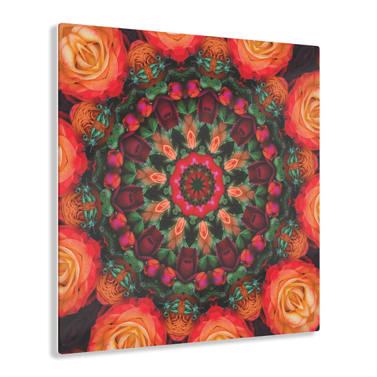 Quotidian Mandala - Knockout Orange
