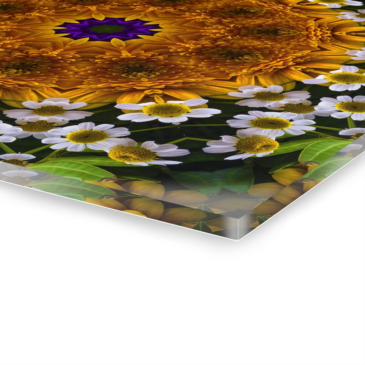 Quotidian Mandala - Bloomelle