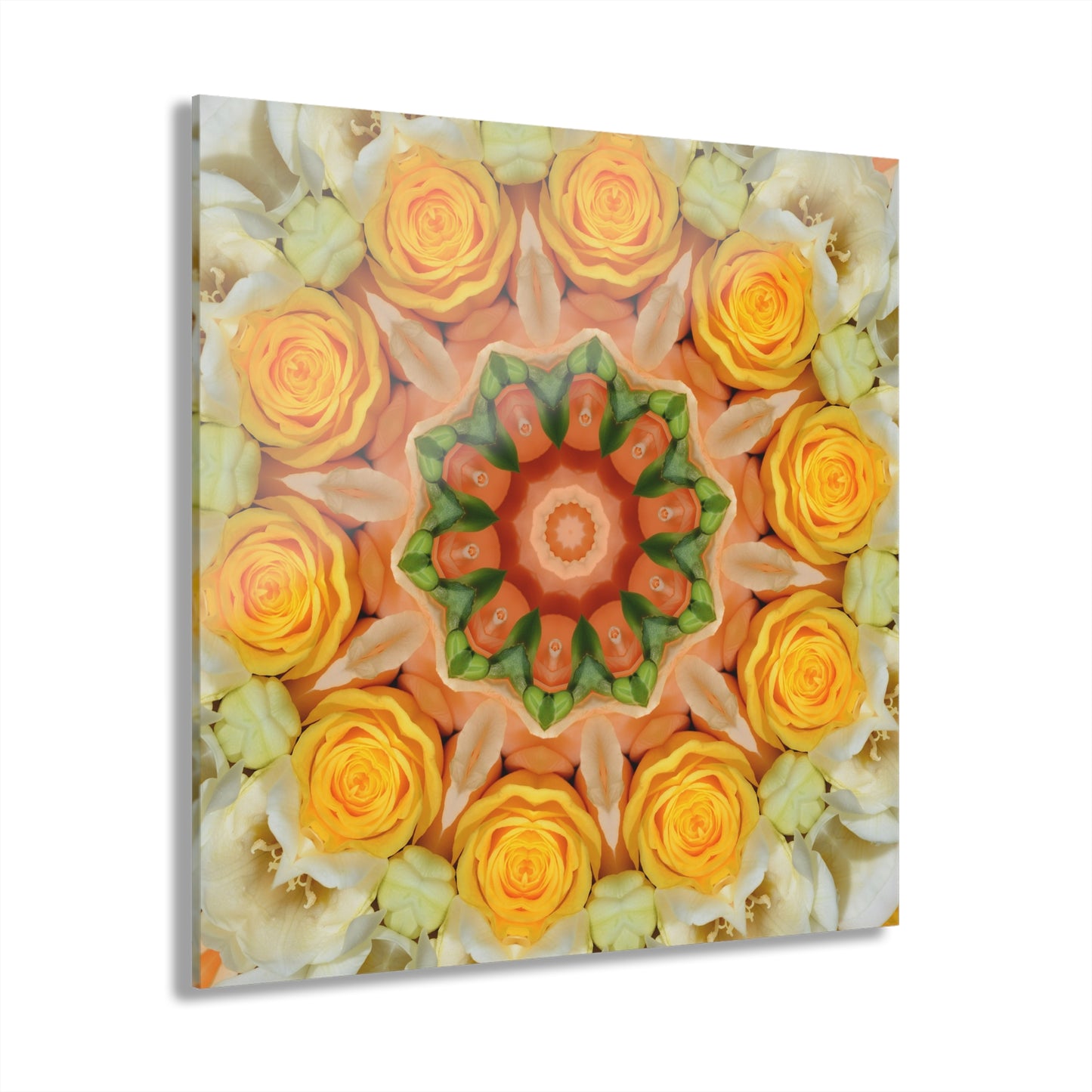Quotidian Mandala - Meloom