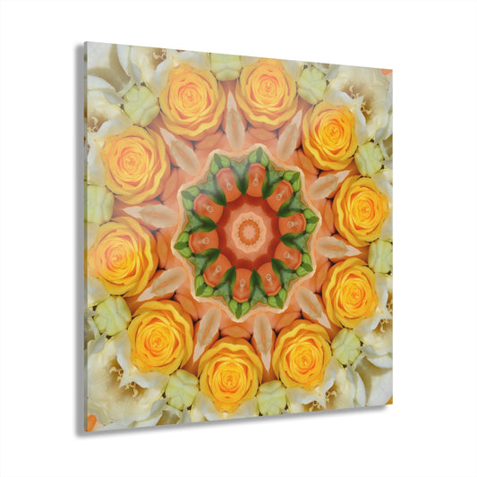Quotidian Mandala - Meloom