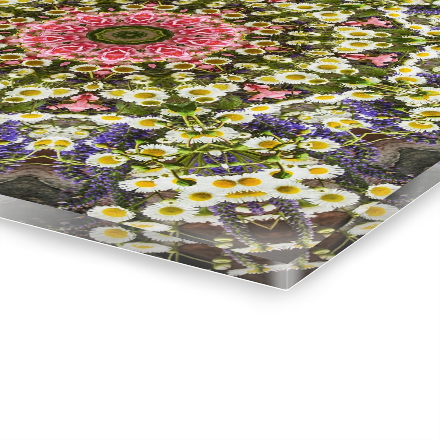 Quotidian Mandala - Wedsprina