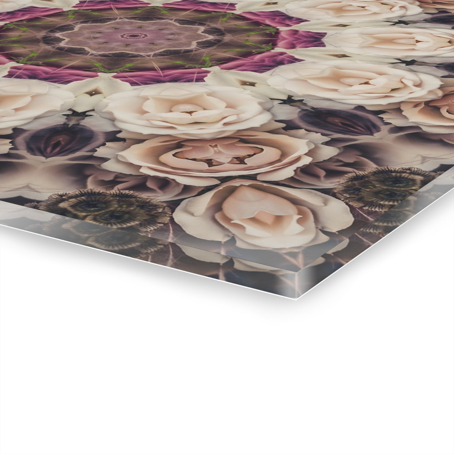 Quotidian Mandala - Petalis