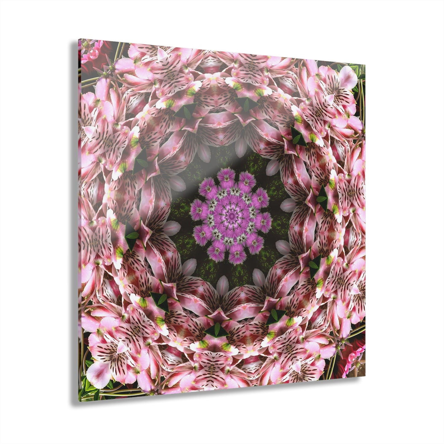 Quotidian Mandala - Tropiria