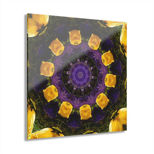 Quotidian Mandala - Camorin