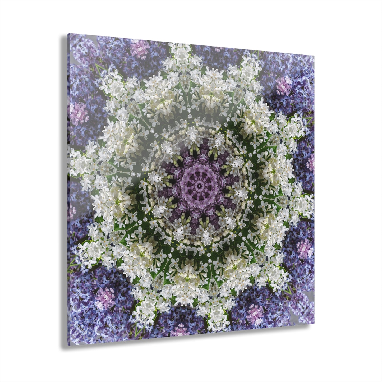 Quotidian Mandala - Denilly