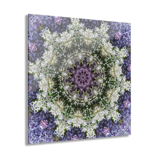Quotidian Mandala - Denilly