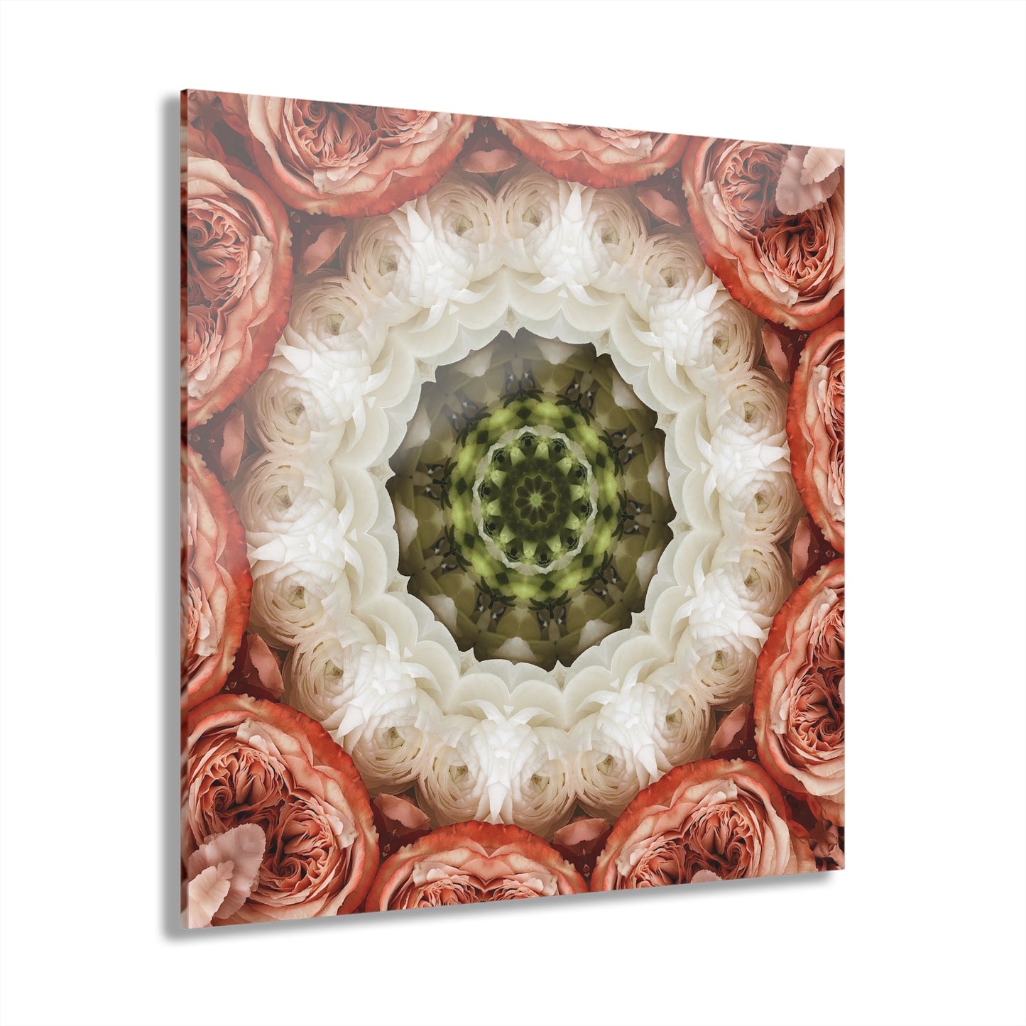 Quotidian Mandala - Petalore