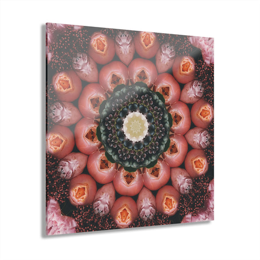 Quotidian Mandala - Plumaya
