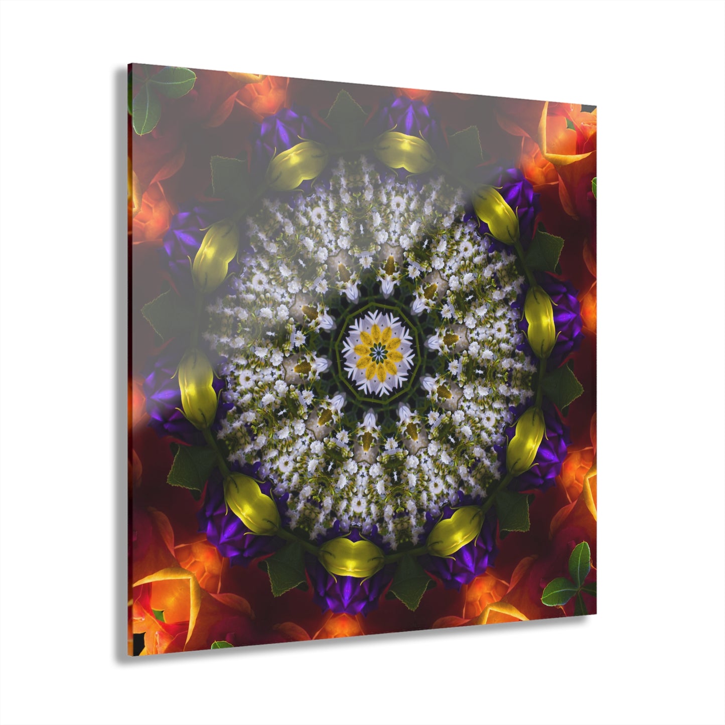 Quotidian Mandala - Padoria