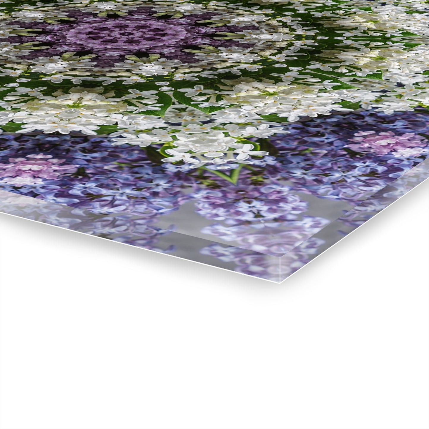 Quotidian Mandala - Denilly