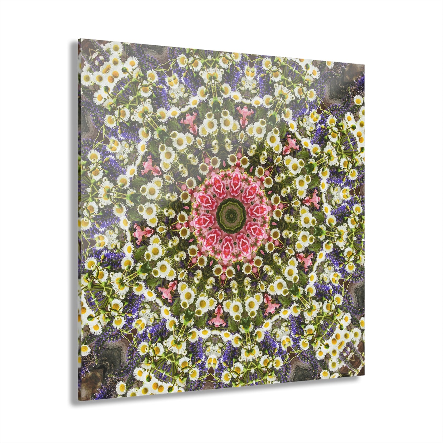 Quotidian Mandala - Wedsprina