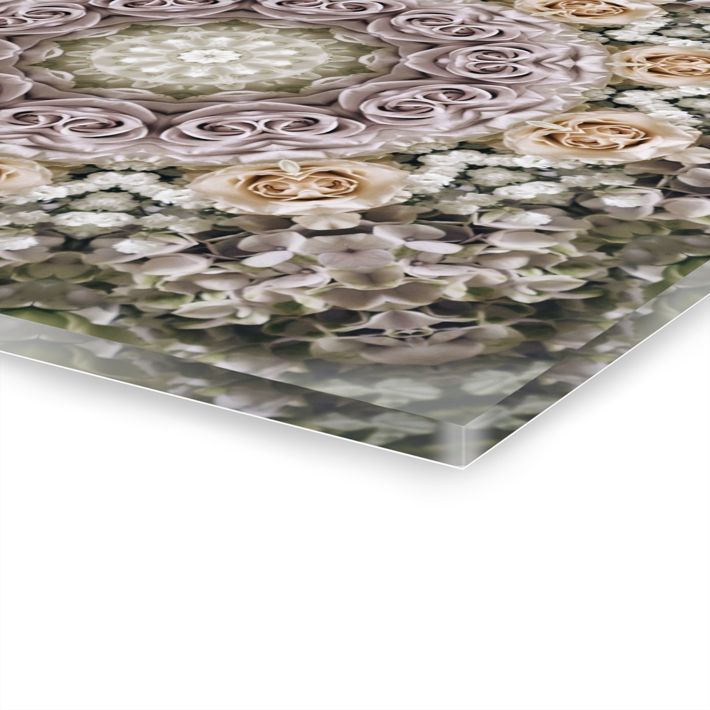 Quotidian Mandala - Primora