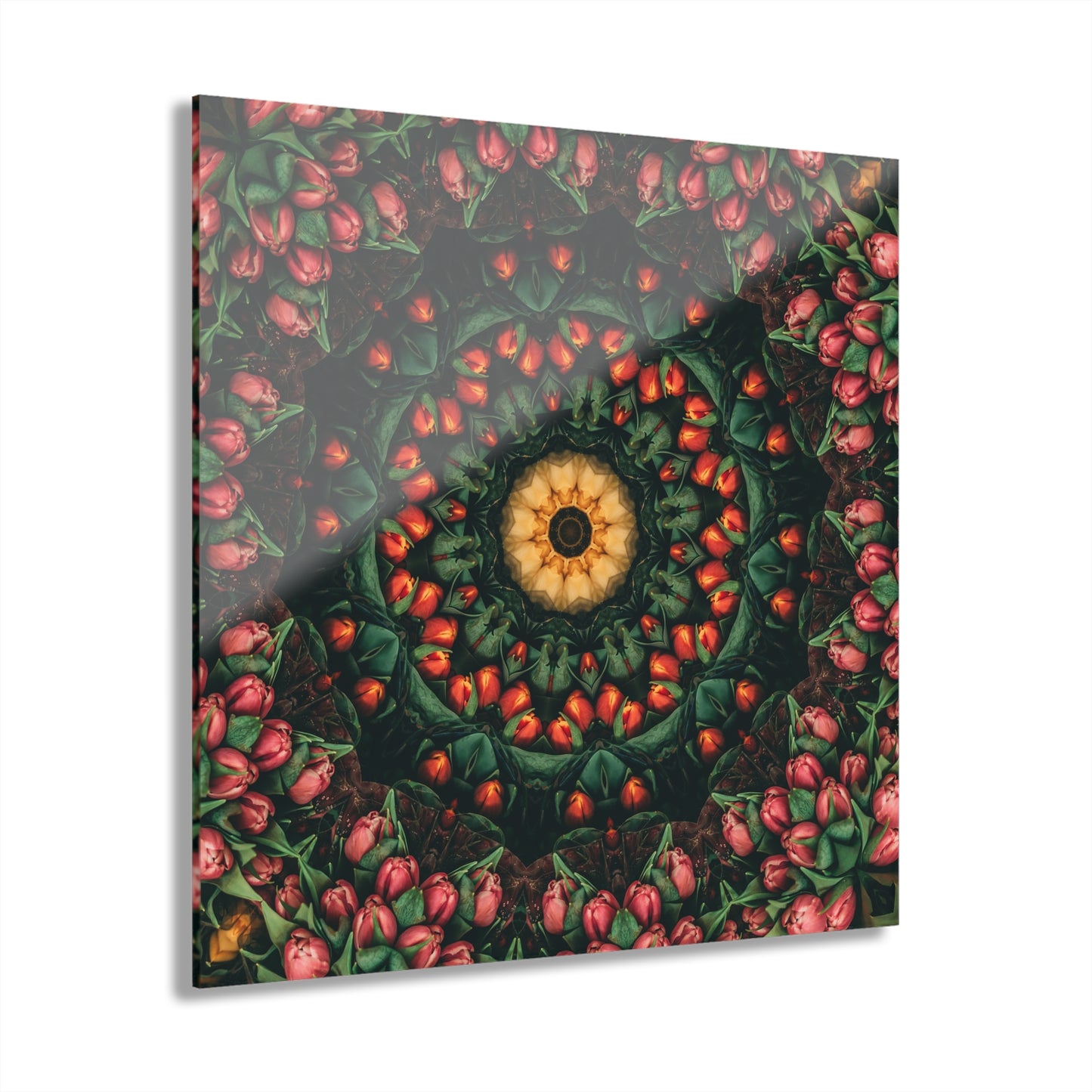 Quotidian Mandala - Melonious