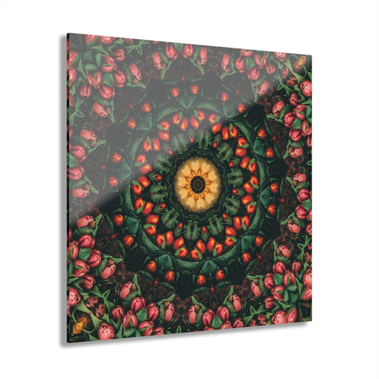 Quotidian Mandala - Melonious
