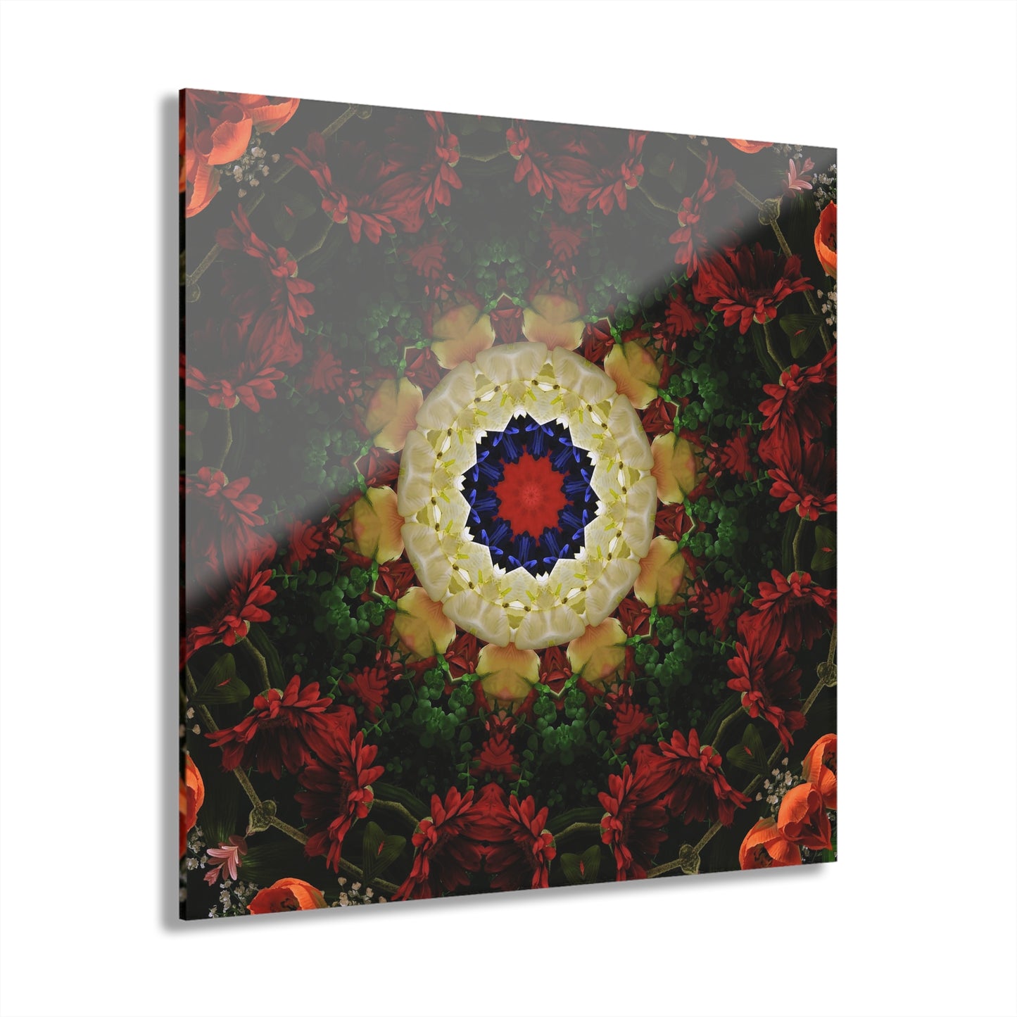 Quotidian Mandala - Latinelle