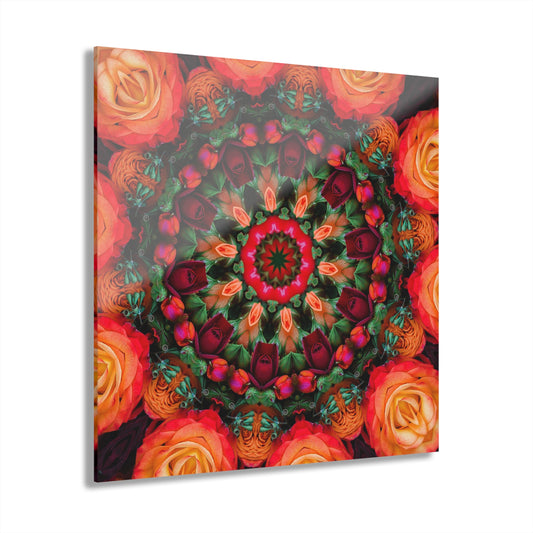 Quotidian Mandala - Knockout Orange