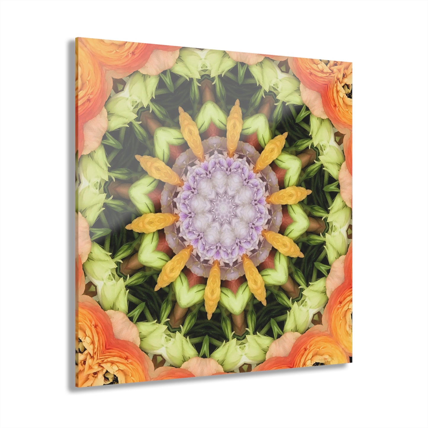 Quotidian Mandala - Meloona
