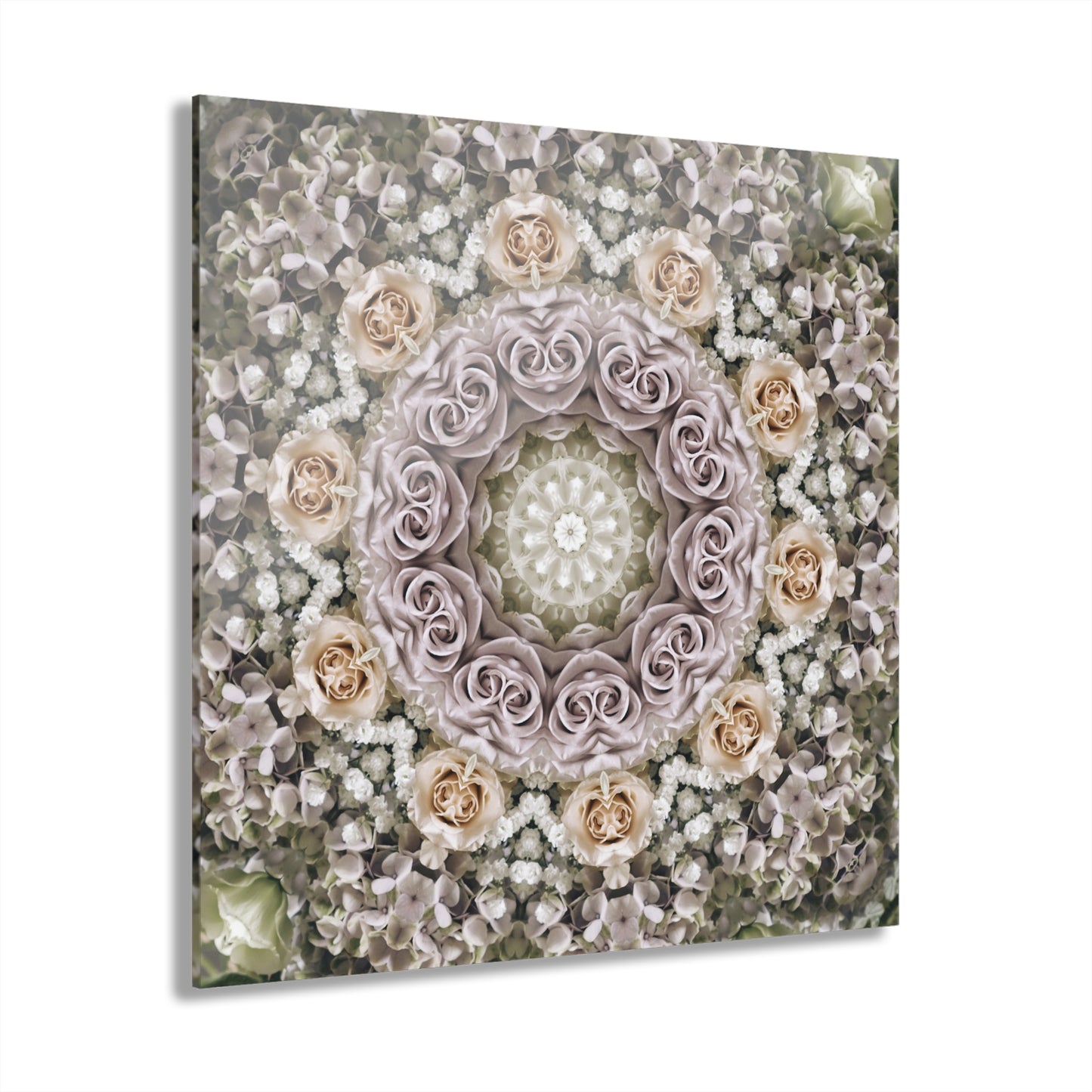 Quotidian Mandala - Primora