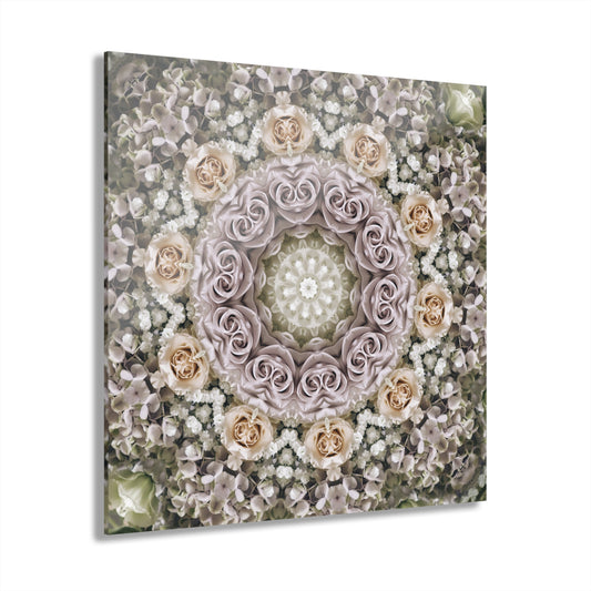 Quotidian Mandala - Primora